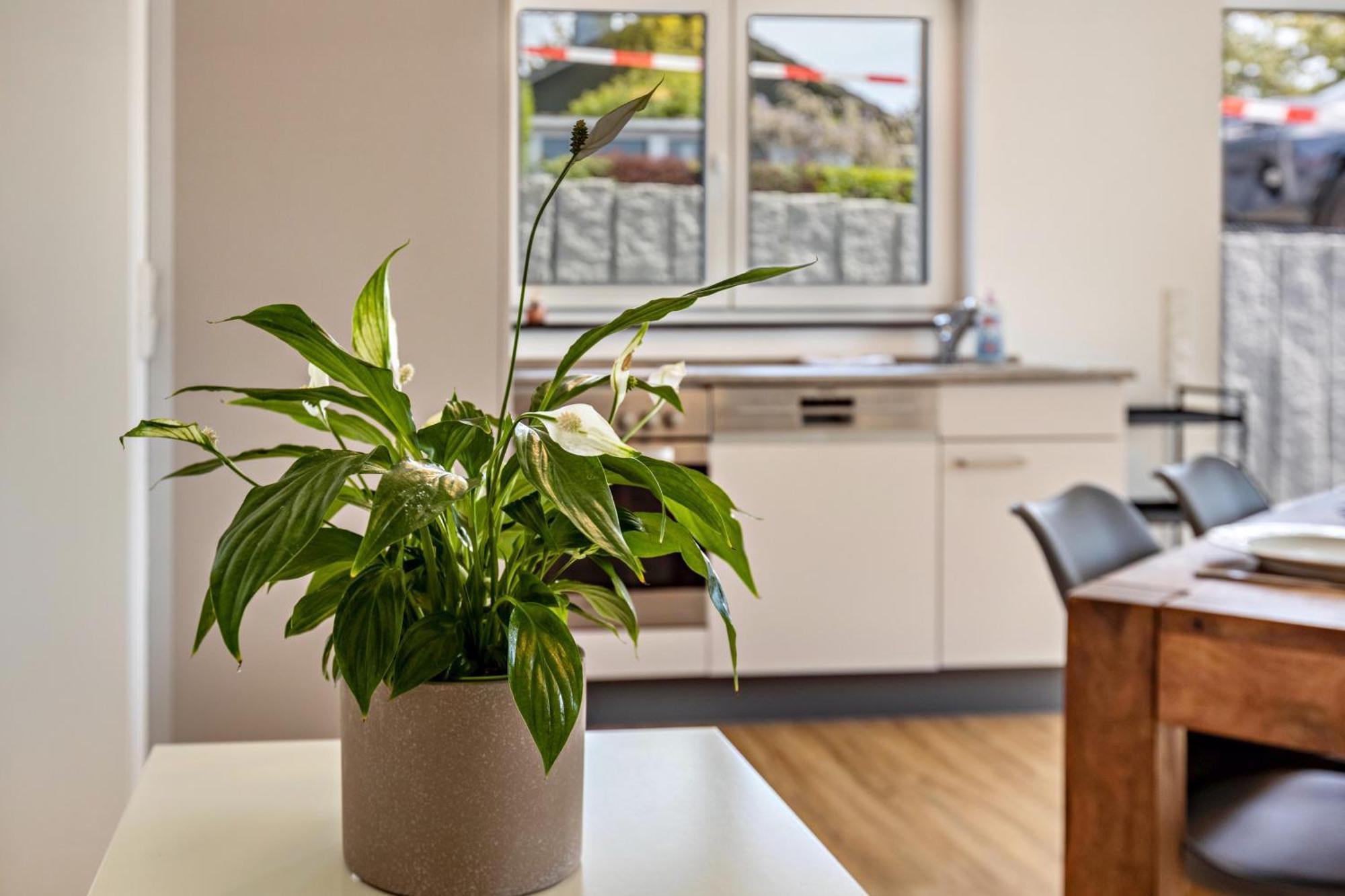 Apartamento Stegmann Horn Gaienhofen  Exterior foto
